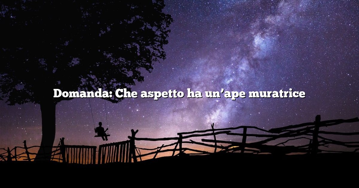 Domanda: Che aspetto ha un’ape muratrice
