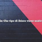 Domanda: Che tipo di ibisco viene usato per il tè