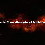 Domanda: Come dissuadere i falchi dai polli