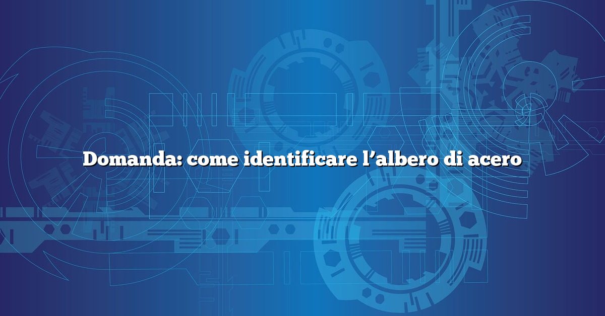 Domanda: come identificare l’albero di acero
