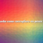 Domanda: come raccogliere un pesce gatto