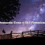 Domanda: Come si fa il Pemmican