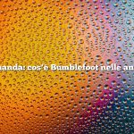 Domanda: cos’è Bumblefoot nelle anatre