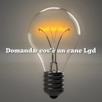 Domanda: cos’è un cane Lgd