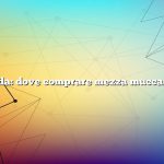 Domanda: dove comprare mezza mucca in Ohio