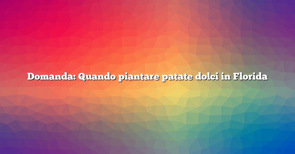 Domanda: Quando piantare patate dolci in Florida