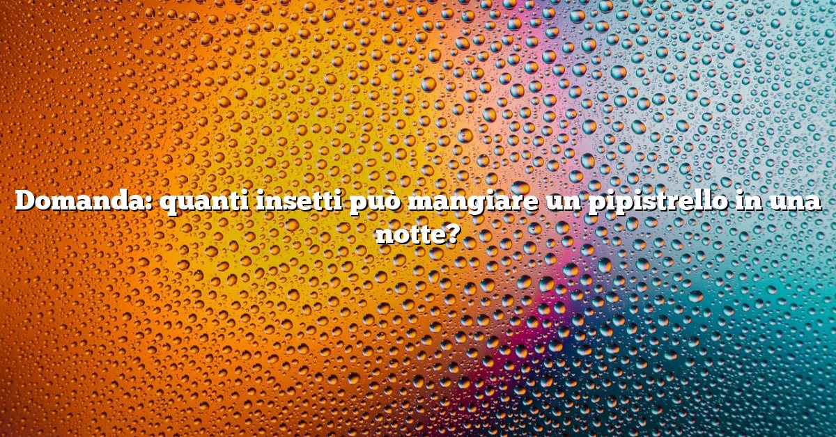 Domanda: quanti insetti può mangiare un pipistrello in una notte?