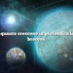 Domanda: quanto crescono in profondità le radici dei broccoli