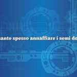 Domanda: quanto spesso annaffiare i semi dopo la semina