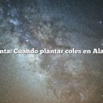 Pregunta: Cuándo plantar coles en Alabama