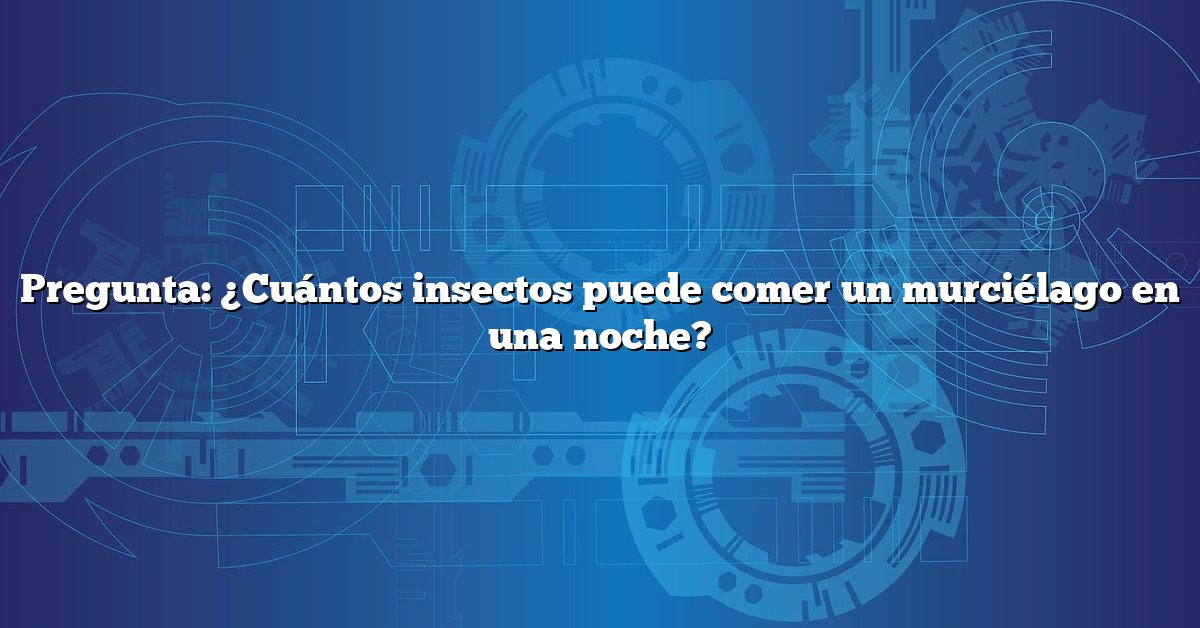 Pregunta: ¿Cuántos insectos puede comer un murciélago en una noche?