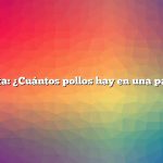 Pregunta: ¿Cuántos pollos hay en una parvada?