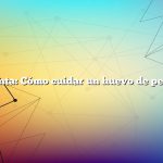 Pregunta: Cómo cuidar un huevo de petirrojo