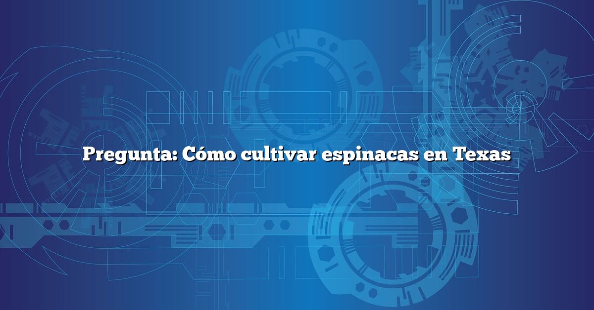Pregunta: Cómo cultivar espinacas en Texas