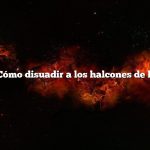 Pregunta: Cómo disuadir a los halcones de las gallinas