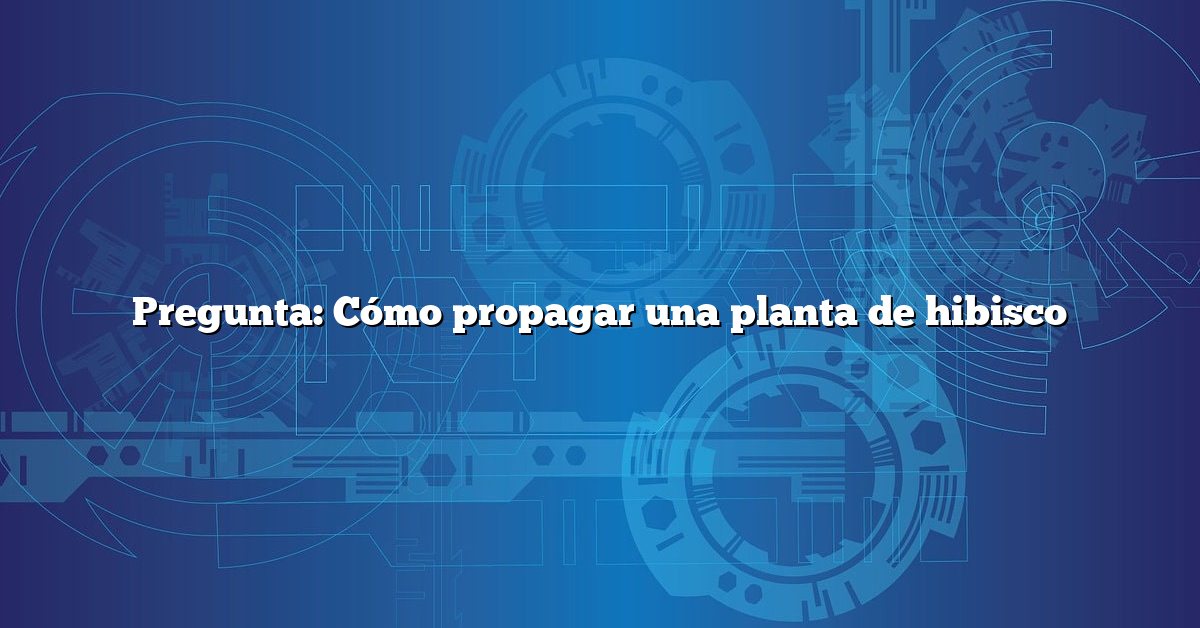 Pregunta: Cómo propagar una planta de hibisco