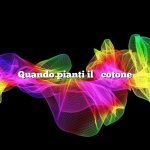 Quando pianti il ​​cotone