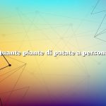 Quante piante di patate a persona