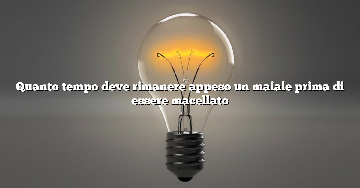 Quanto tempo deve rimanere appeso un maiale prima di essere macellato