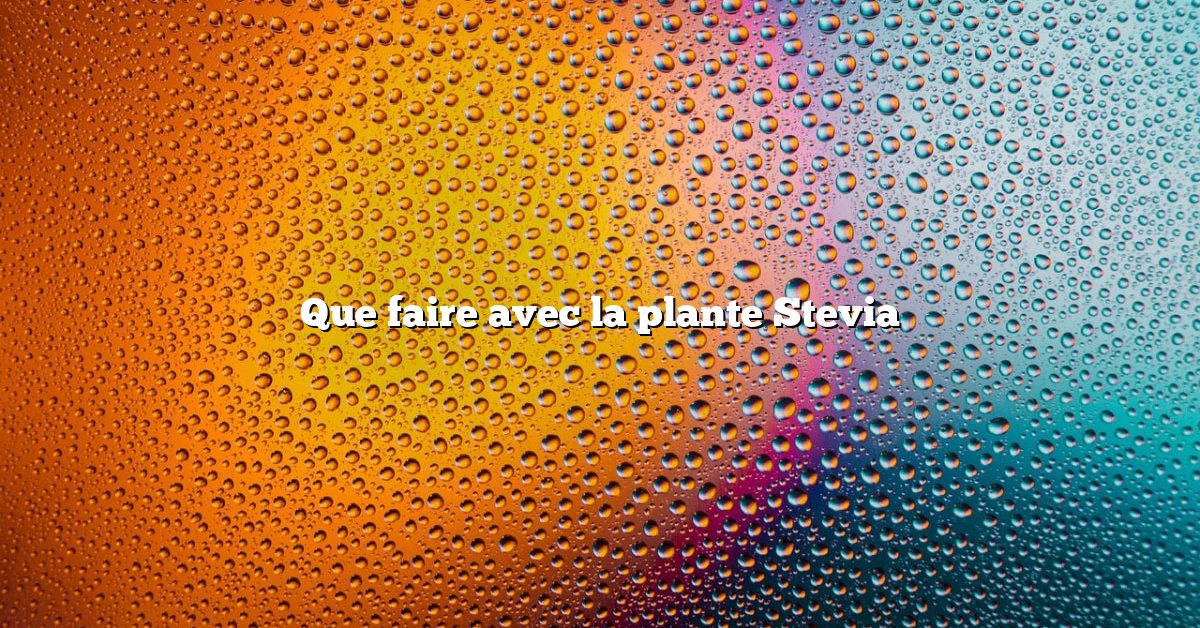 Que faire avec la plante Stevia