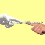 Que planter en juillet Zone 9