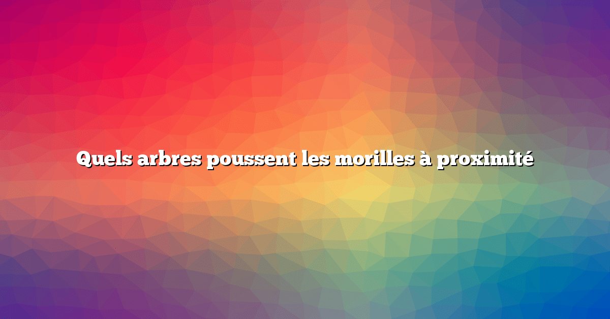 Quels arbres poussent les morilles à proximité