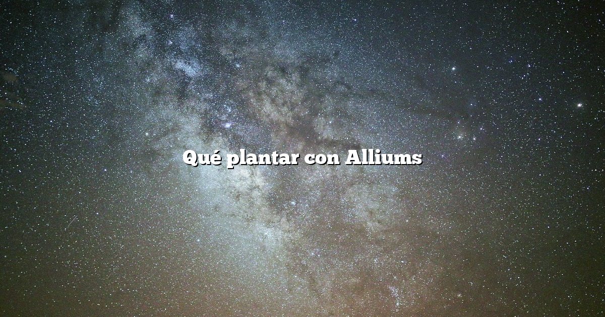 Qué plantar con Alliums