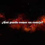 ¿Qué puede comer un conejo?