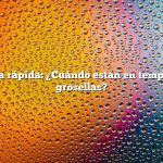 Respuesta rápida: ¿Cuándo están en temporada las grosellas?