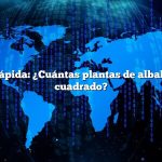 Respuesta rápida: ¿Cuántas plantas de albahaca por pie cuadrado?