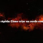 Respuesta rápida: Cómo criar un cerdo como mascota