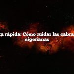 Respuesta rápida: Cómo cuidar las cabras enanas nigerianas