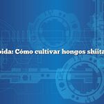Respuesta rápida: Cómo cultivar hongos shiitake en troncos