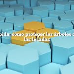 Respuesta rápida: cómo proteger los árboles de durazno de las heladas