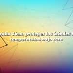 Respuesta rápida: Cómo proteger los árboles frutales de las temperaturas bajo cero