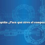 Respuesta rápida: ¿Para qué sirve el compost de hongos?