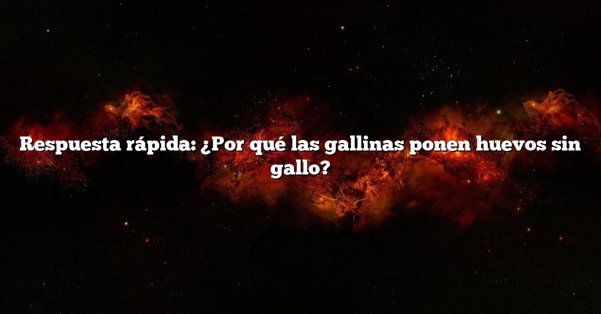 Respuesta rápida: ¿Por qué las gallinas ponen huevos sin gallo?
