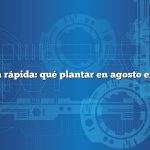 Respuesta rápida: qué plantar en agosto en Virginia