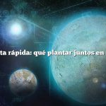 Respuesta rápida: qué plantar juntos en el jardín