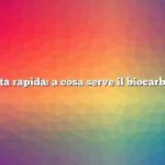 Risposta rapida: a cosa serve il biocarburante