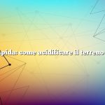 Risposta rapida: come acidificare il terreno con l’aceto