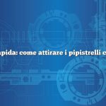 Risposta rapida: come attirare i pipistrelli con il suono