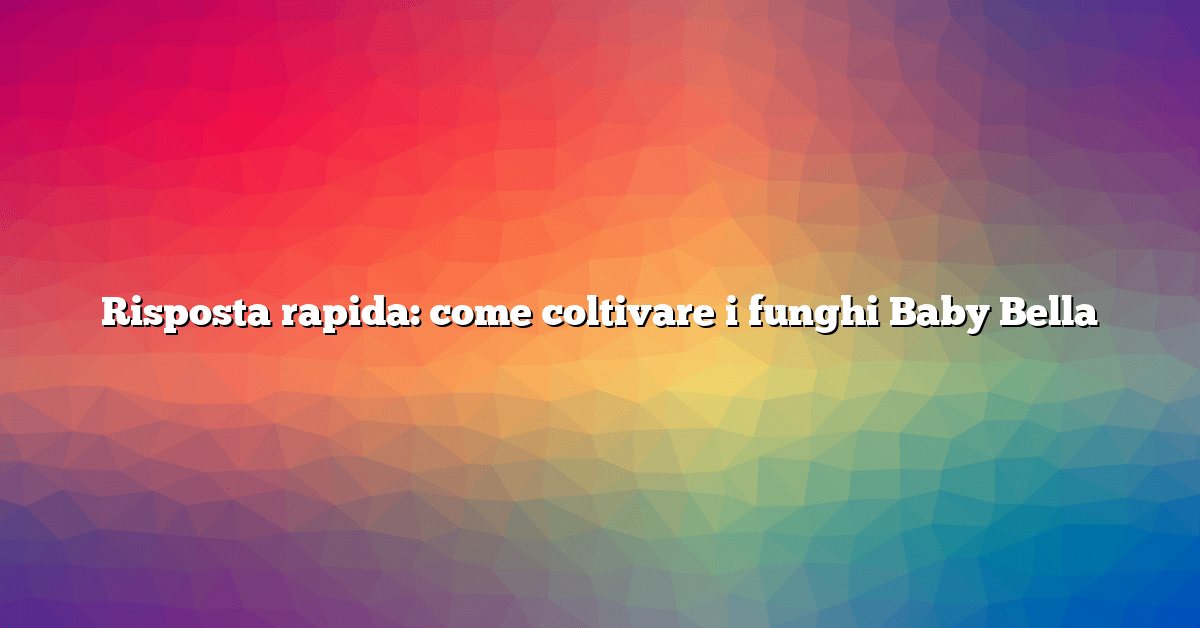 Risposta rapida: come coltivare i funghi Baby Bella