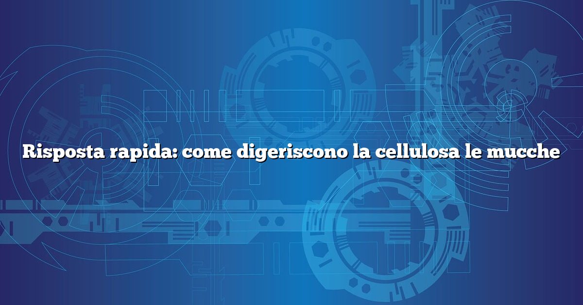 Risposta rapida: come digeriscono la cellulosa le mucche