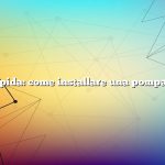 Risposta rapida: come installare una pompa dell’acqua