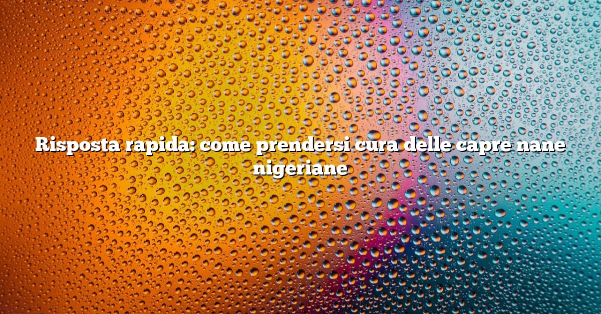 Risposta rapida: come prendersi cura delle capre nane nigeriane