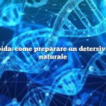 Risposta rapida: come preparare un detersivo per bucato naturale