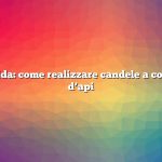 Risposta rapida: come realizzare candele a colonna in cera d’api