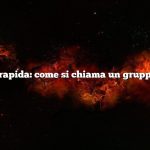 Risposta rapida: come si chiama un gruppo di lama