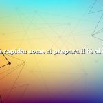 Risposta rapida: come si prepara il tè al compost